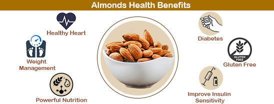 Almond Size Chart