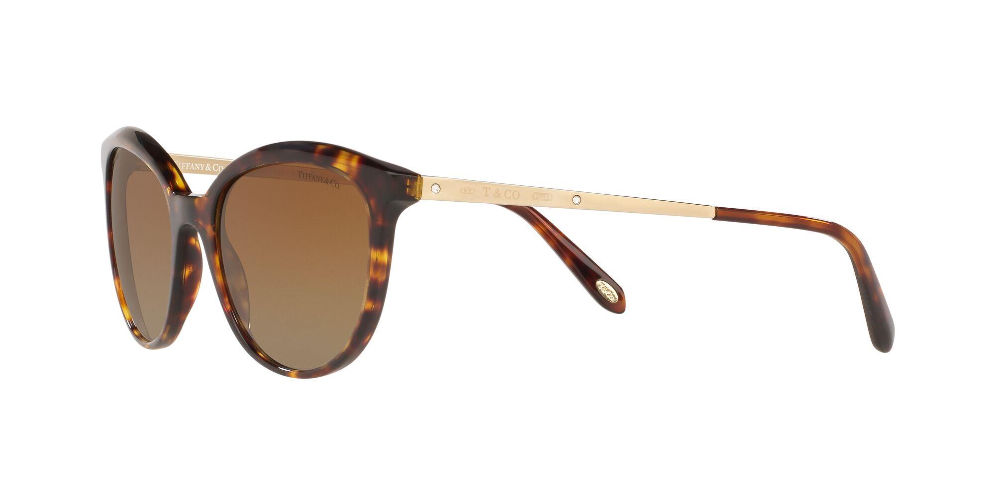 Polarized Brown Gradient Sunglasses