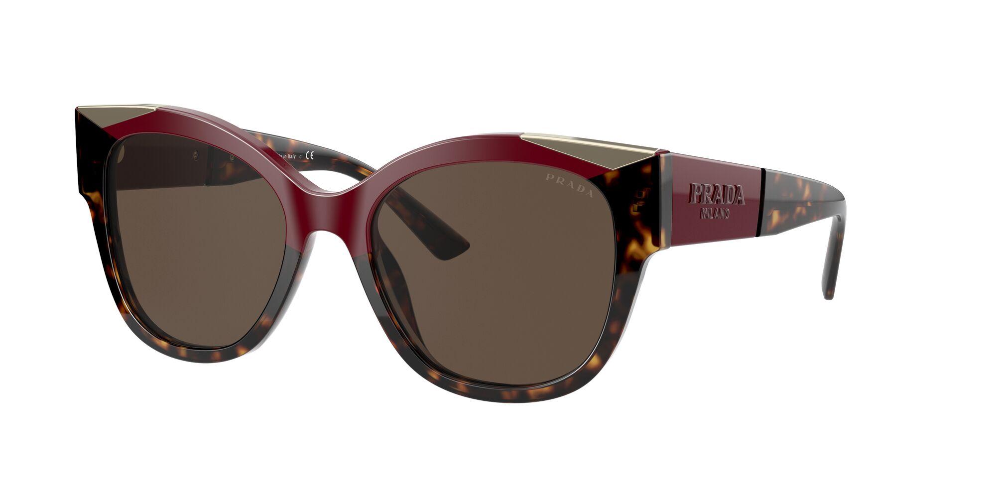 Dark Brown Sunglasses