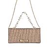 Rocia By Regal Chickoo Women Shimmery Clutch