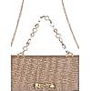 Rocia By Regal Chickoo Women Shimmery Clutch