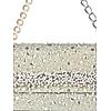 Rocia By Regal Silver Women Heavy Pearl Embellished Bag