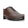 Regal Brown Men Oxford Leather Lace Up Shoes