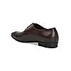 Imperio By Regal Brown Men Formal Leather Lace-Up Shoes