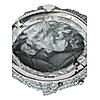 Rocia Grey Women Embroidered Metallic Purse