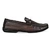 Regal Brown Men Casual Buckled Loafers