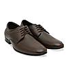 Regal Brown Men Leather Lace Ups