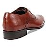 Zuccaro Brown formal brogue shoes