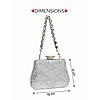 Rocia By Regal Silver Women Patterned Diamond Studded Metal Clutch