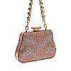 Rocia By Regal Champagne Women Patterned Diamond Studded Metal Clutch