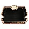 Rocia By Regal Champagne Women Patterned Diamond Studded Metal Clutch