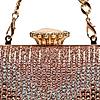 Rocia By Regal Champagne Women Patterned Diamond Studded Metal Clutch