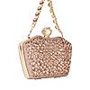 Rocia By Regal Champagne Women Diamond Encrusted Metal Clutch