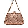 Rocia By Regal Champagne Women Diamond Studded Metal Clutch