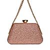 Rocia By Regal Champagne Women Diamond Studded Metal Clutch