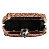 Rocia By Regal Champagne Women Diamond Studded Metal Clutch