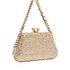 Rocia By Regal Gold Women Diamond Studded Metal Clutch