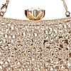 Rocia By Regal Gold Women Diamond Encrusted Metal Clutch