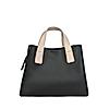 ROCIA Black Women Casual Trendy Handheld Bag