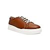 Regal Tan Men Sneakers