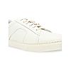 Regal White Men White Sneakers