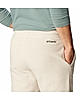 Columbia Men Brown Steens Mountain Pant