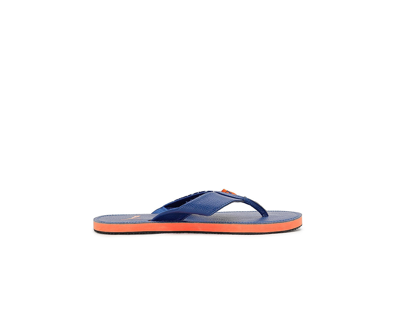 Puma men's hotsell colaba blue slippers