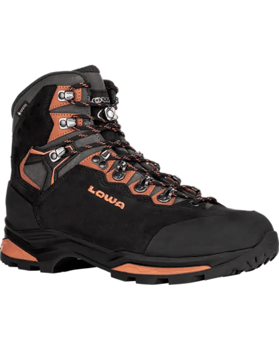 Lowa Men Black CAMINO EVO GTX