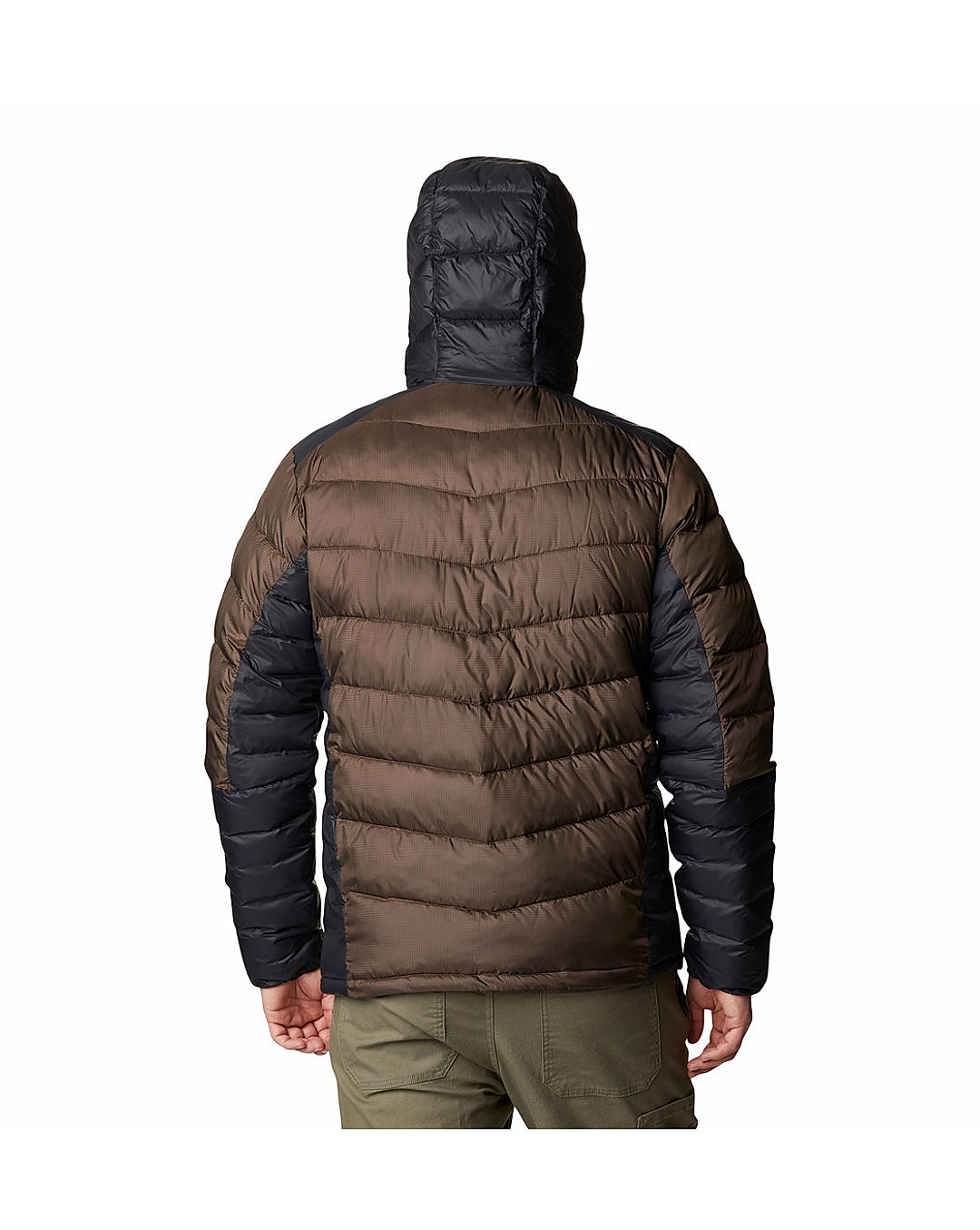 Men's horizon explorer hot sale hooded jacket