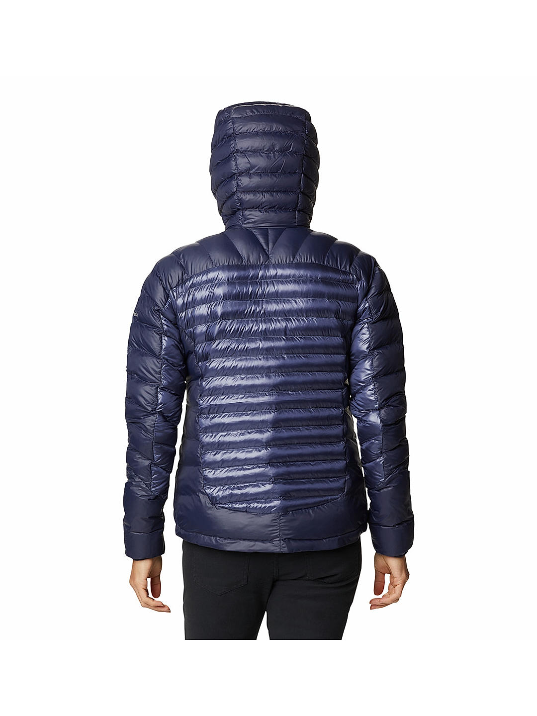 Buy Blue Labyrinth Loop Hooded Jacket for Women Online at Columbia ...