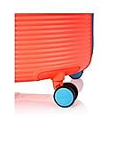 Rollio