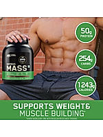 Serious Mass - Chocolate - 3 Kg + Creatine 100 g