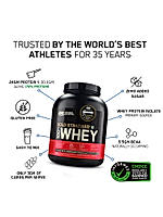 Muscle Gain Mega Combo - Gold Standard 100% Whey Protein Powder Double Rich Chocolate 5 lbs + Creatine 250 gm + Free Optimum Nutrition Festive Shaker