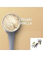 Optimum Nutrition (ON) Gold Standard 100% Plant Protein - 21 Serve, 684 g (French Vanilla Creme), Vegan, Complete Amino Acid Profile,  Zero Added Sugars, Gluten-Free. 