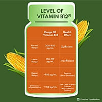 Patanjali Nutrela Vitamin B12 - 30 Veg Capsules (Pack of 1)