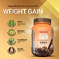 Patanjali Nutrela Weight Gain - Chocolate Flavour - 1Kg (Pack of 1)