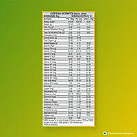 Patanjali Nutrela Weight Gain - Mango Flavour - 500g + FREE Shaker