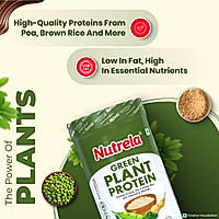 Patanjali Nutrela Green Plant Protein - Irish Chocolate - 500g