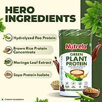 Patanjali Nutrela Green Plant Protein - Irish Chocolate - 500g