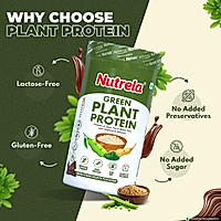 Patanjali Nutrela Green Plant Protein - Irish Chocolate - 500g