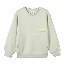 Kids' Comfort Fit Crewneck Sweatshirt