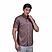 Men  Short Sleeve Shirt