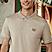 Men's Cotton Solid Polo