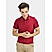 Men's Solid Cotton Polo