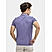 Men's Purple Solid Cotton Polo