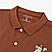 Men's Brown Polo