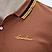 Men's Brown Polo