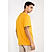 Men's Yellow Tee