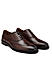 Coffee  Leather Derby Shoes