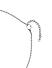 The Bro Code Silver Plated Thrishul Pendant Necklace for Men